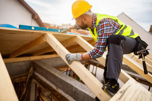 Roof Gutter Cleaning in Vernon, AL