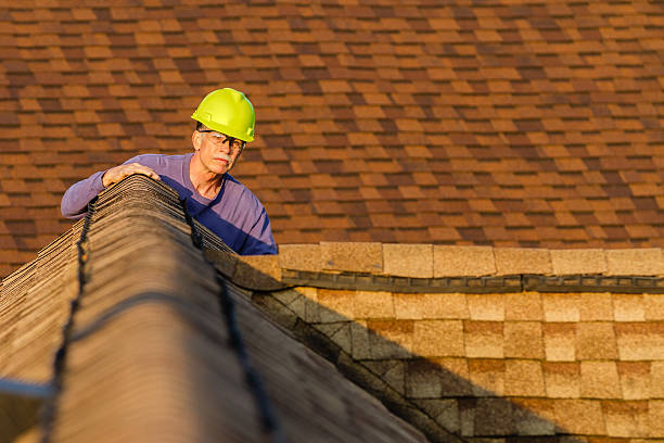 Best Roof Gutter Cleaning  in Vernon, AL