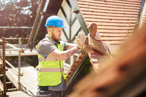 Best Roofing Contractor Near Me  in Vernon, AL